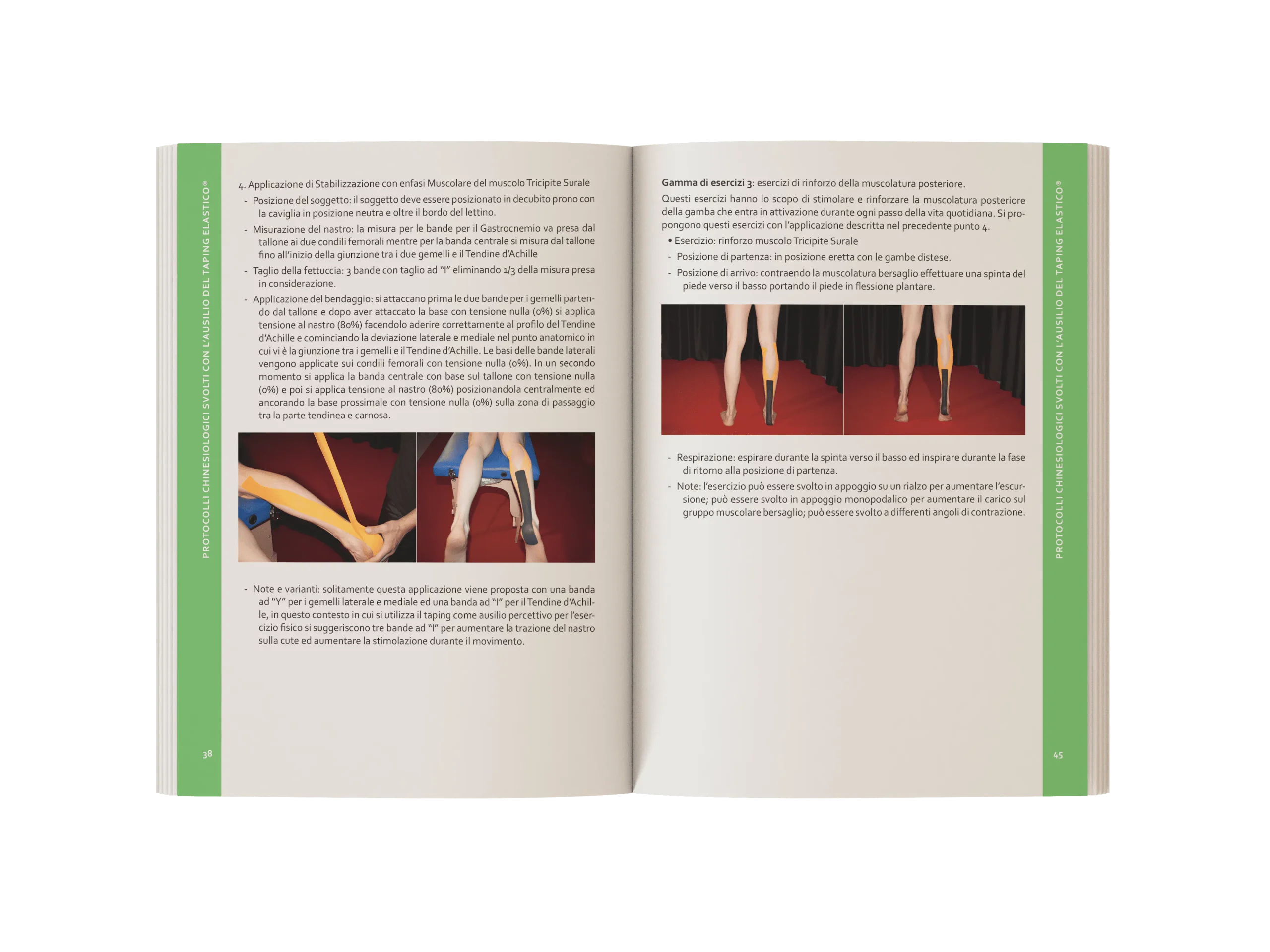 Libro-Applicazioni-Chinesiologia-muscolatura-posteriore
